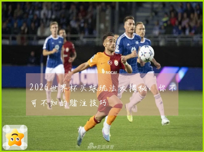 2026世界杯买球玩法大揭秘，你不可不知的赌注技巧