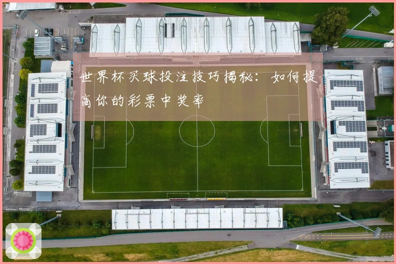世界杯买球投注技巧揭秘：如何提高你的彩票中奖率