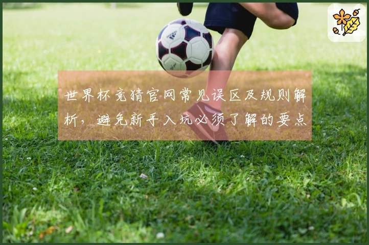 世界杯竞猜官网常见误区及规则解析，避免新手入坑必须了解的要点