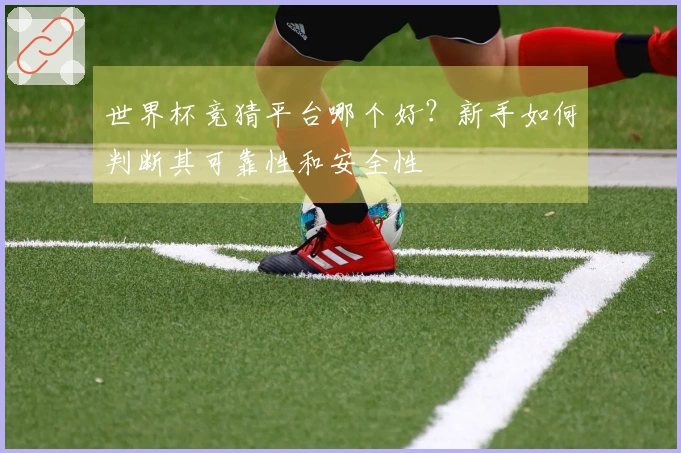世界杯竞猜平台哪个好？新手如何判断其可靠性和安全性