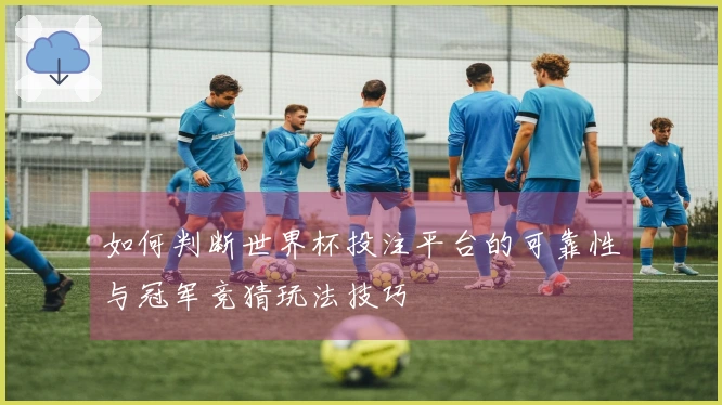 如何判断世界杯投注平台的可靠性与冠军竞猜玩法技巧