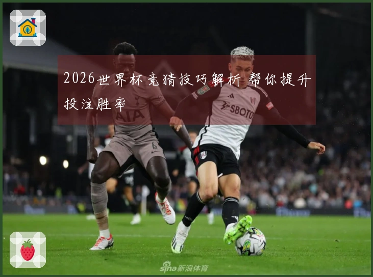 2026世界杯竞猜技巧解析 帮你提升投注胜率