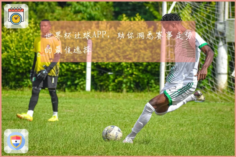 世界杯让球APP,助你洞悉赛事走势的最佳选择