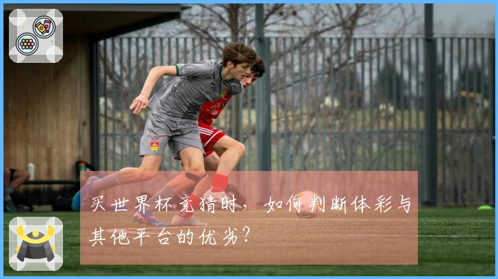 买世界杯竞猜时，如何判断体彩与其他平台的优劣？
