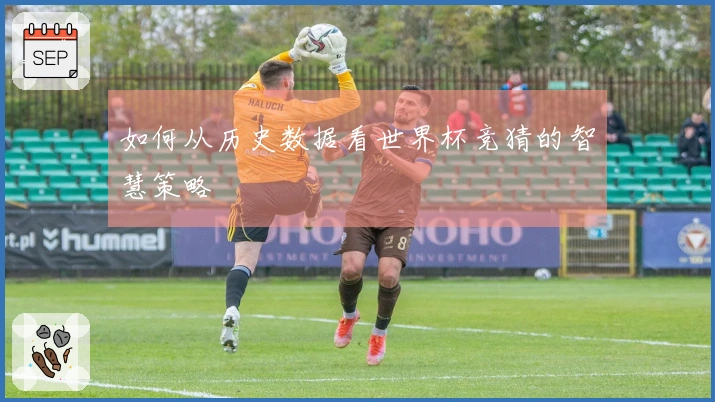 如何从历史数据看世界杯竞猜的智慧策略