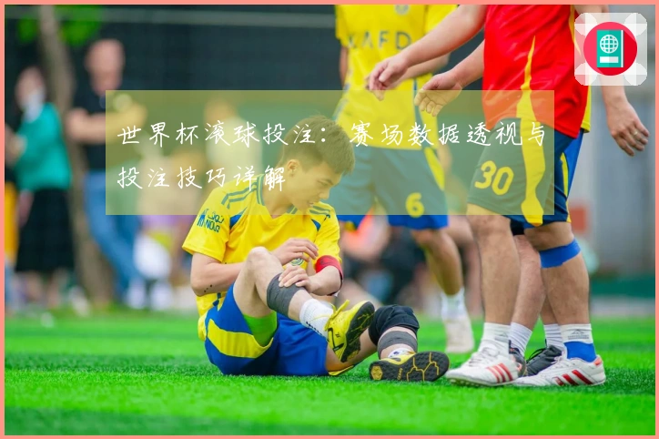 世界杯滚球投注：赛场数据透视与投注技巧详解