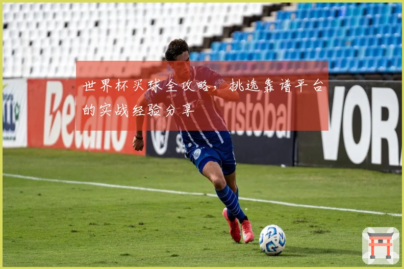 世界杯买球全攻略，挑选靠谱平台的实战经验分享
