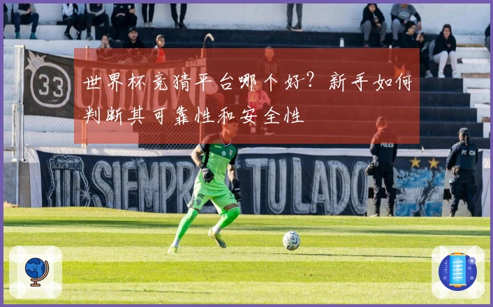 世界杯竞猜平台哪个好？新手如何判断其可靠性和安全性