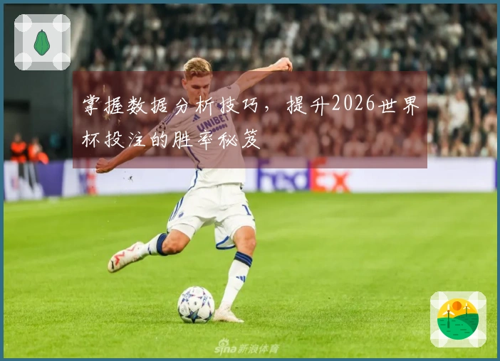 掌握数据分析技巧，提升2026世界杯投注的胜率秘笈
