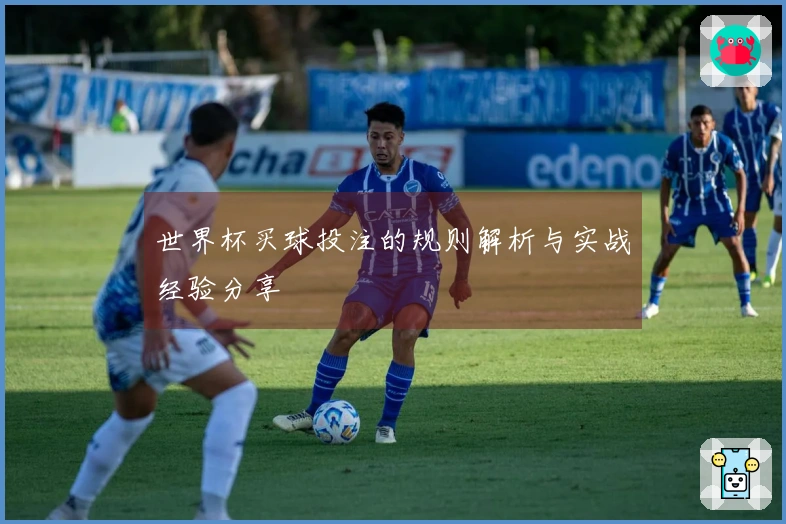 世界杯买球投注的规则解析与实战经验分享