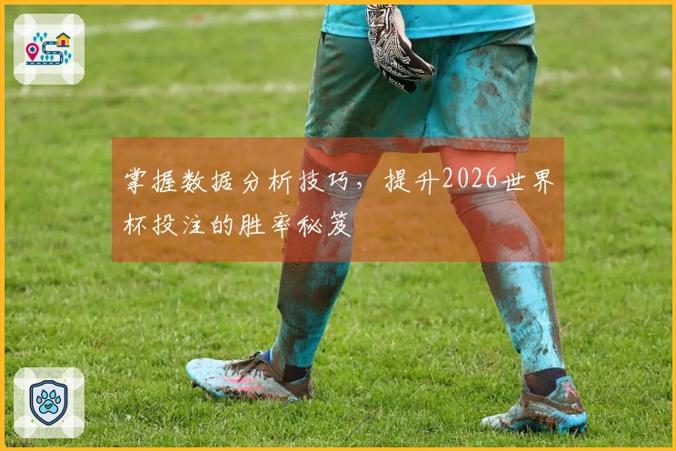 掌握数据分析技巧，提升2026世界杯投注的胜率秘笈