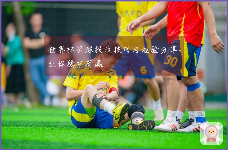世界杯买球投注技巧与经验分享，让你稳中有赢