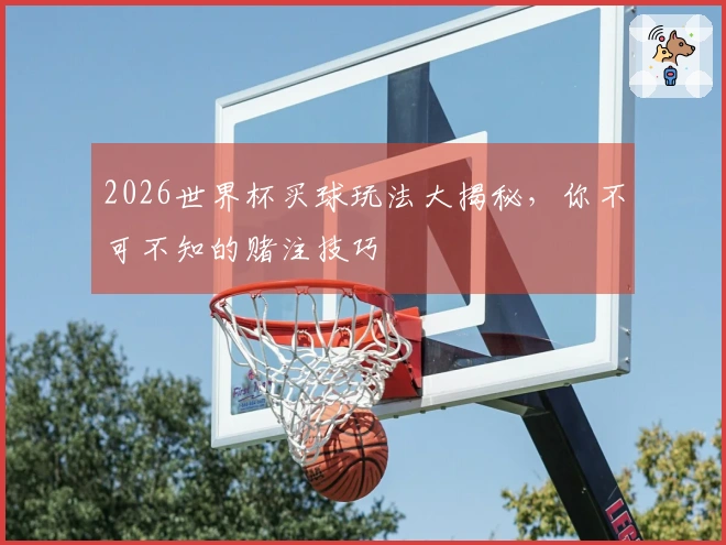 2026世界杯买球玩法大揭秘，你不可不知的赌注技巧
