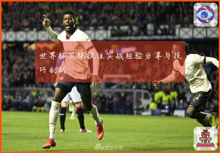 世界杯买球投注实战经验分享与技巧剖析