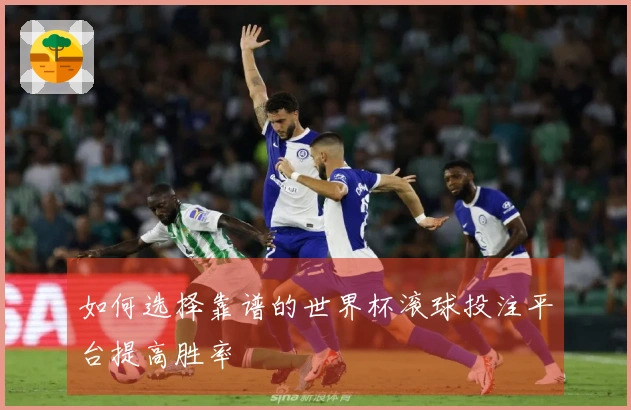 如何选择靠谱的世界杯滚球投注平台提高胜率