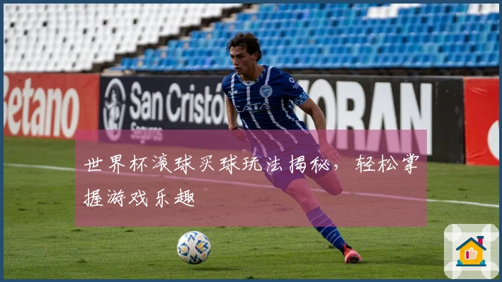 世界杯滚球买球玩法揭秘，轻松掌握游戏乐趣