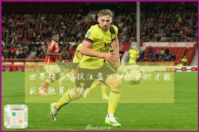 世界杯买球投注盘口如何分析才能获取胜算优势