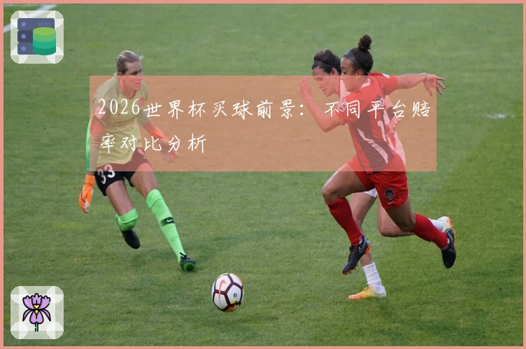 2026世界杯买球前景：不同平台赔率对比分析