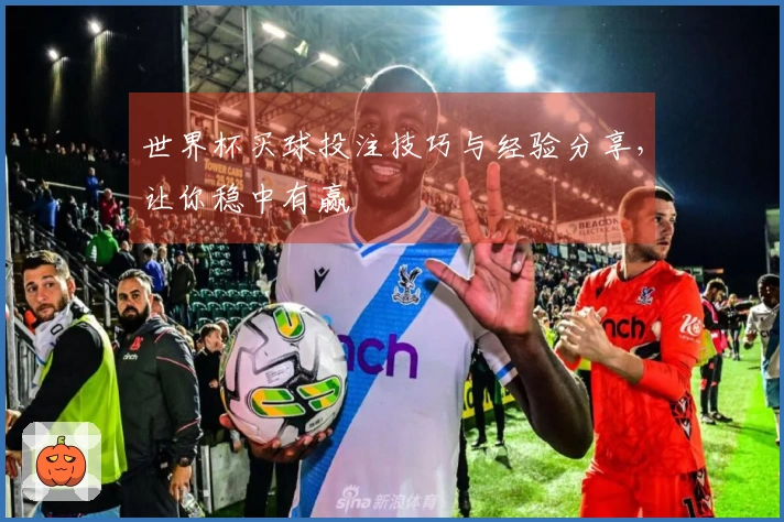 世界杯买球投注技巧与经验分享，让你稳中有赢