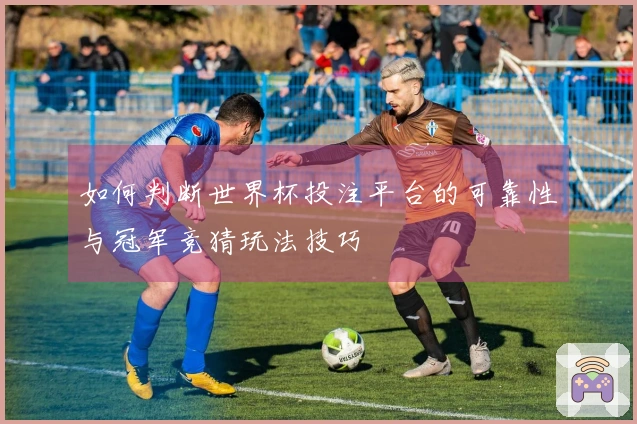 如何判断世界杯投注平台的可靠性与冠军竞猜玩法技巧