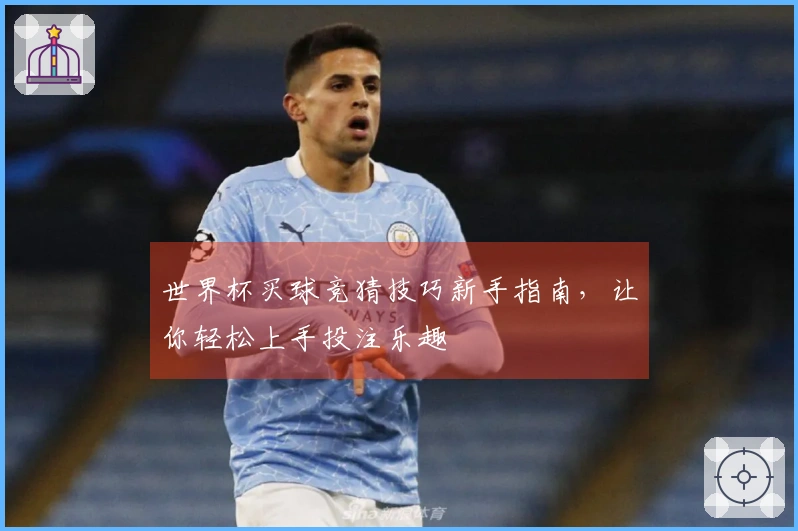 世界杯买球竞猜技巧新手指南,让你轻松上手投注乐趣