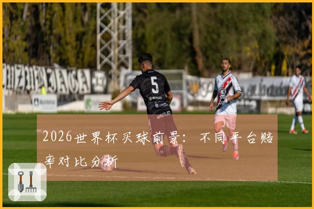 2026世界杯买球前景：不同平台赔率对比分析