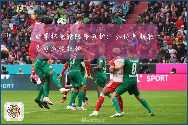 世界杯竞猜赔率分析：如何判断胜负与风险把控