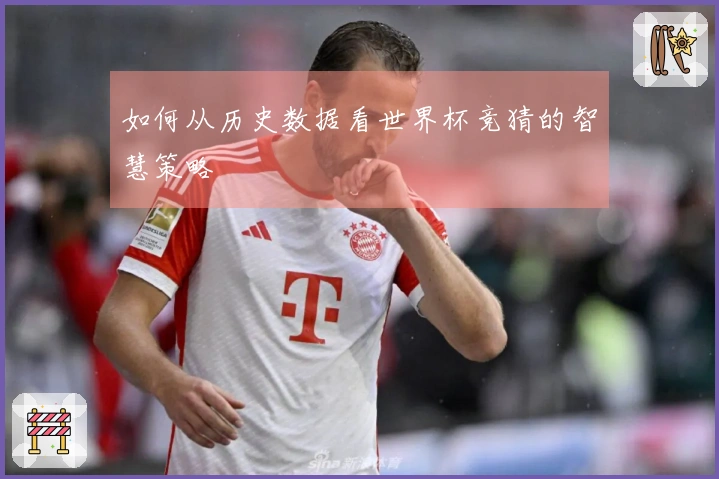 如何从历史数据看世界杯竞猜的智慧策略
